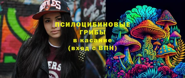ECSTASY Осинники