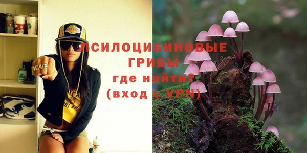 ECSTASY Осинники