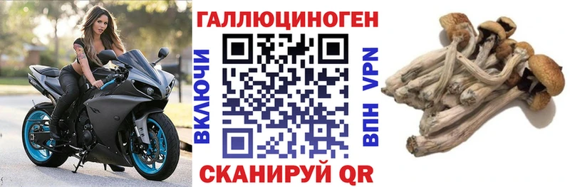 купить наркотик ссылка на мегу онион Псилоцибиновые грибы мухоморы Тихорецк