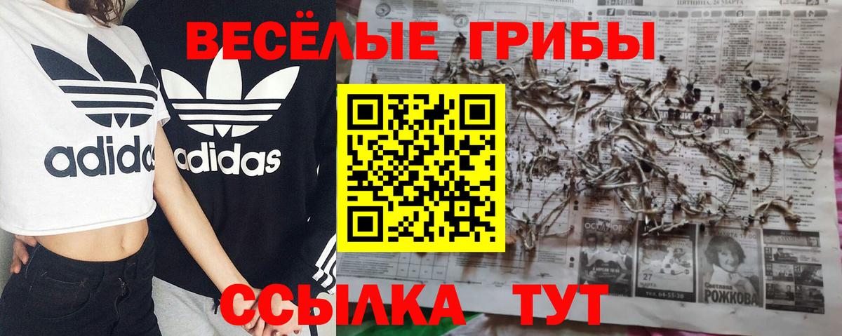 Галлюциногенные грибы ЛСД  Галлюциногенные грибы Psilocybe  Тихорецк  Вход с VPN 