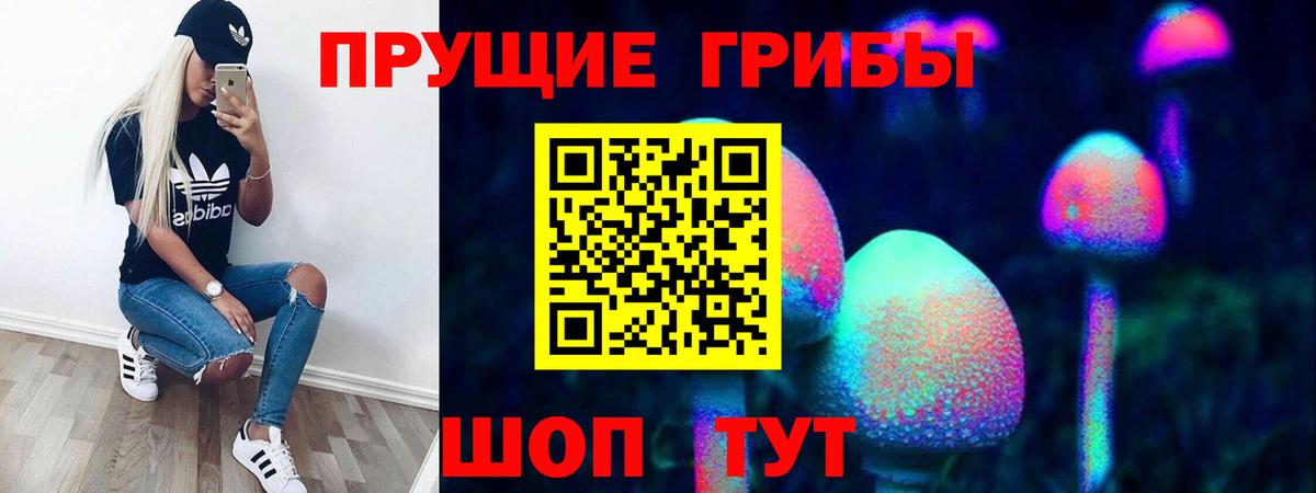 Галлюциногенные грибы прущие грибы Тихорецк